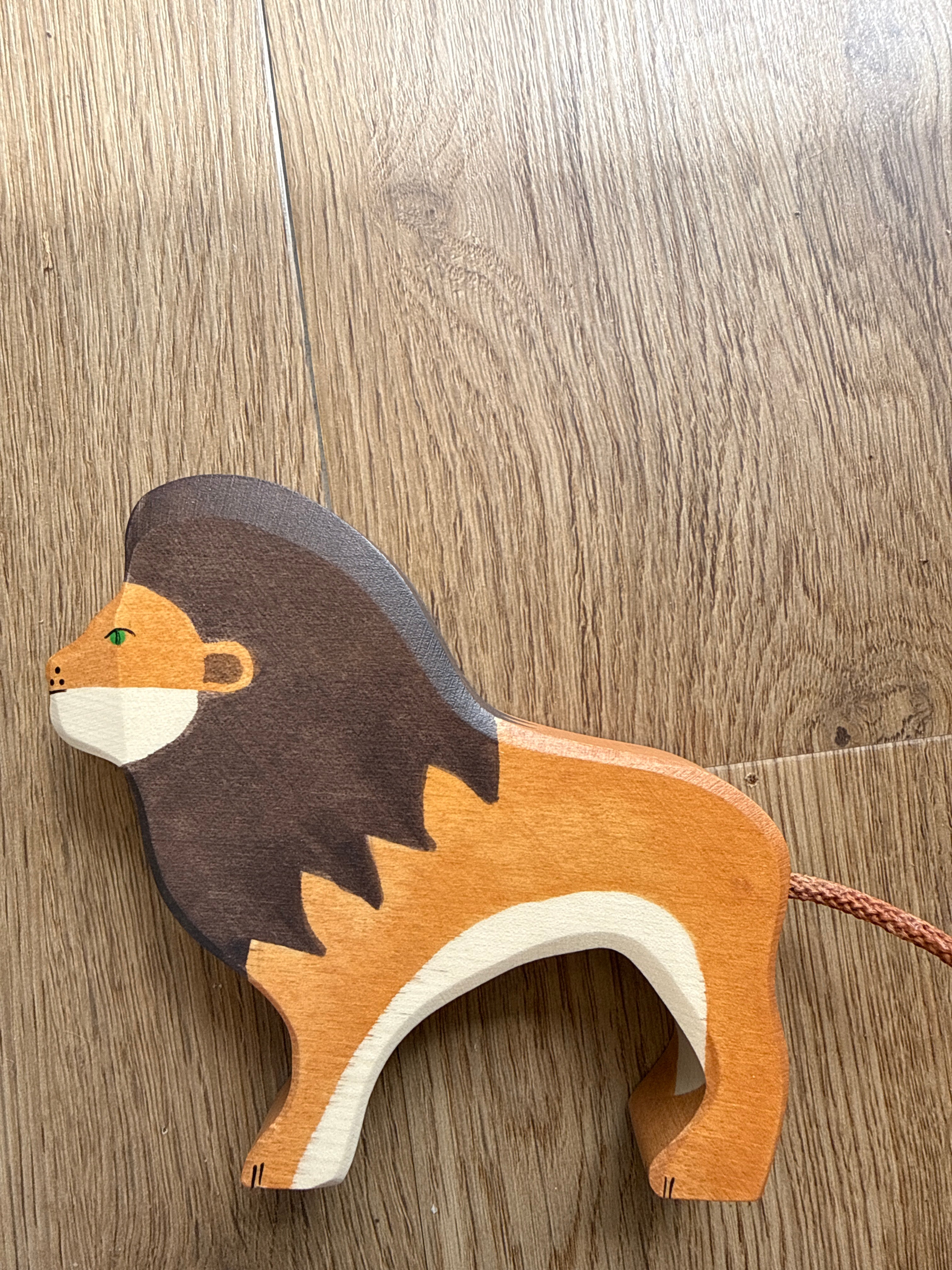 Holtzitiger De Leeuw