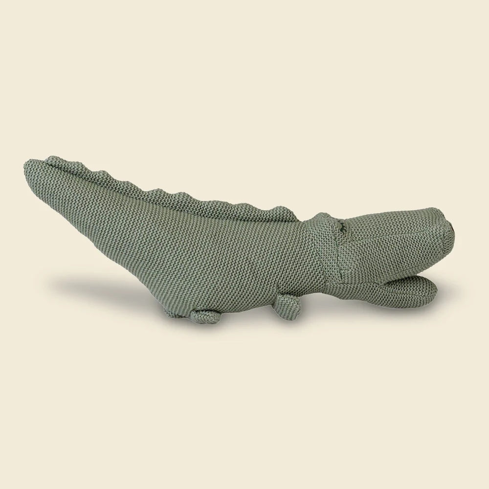 Crocodile rattle