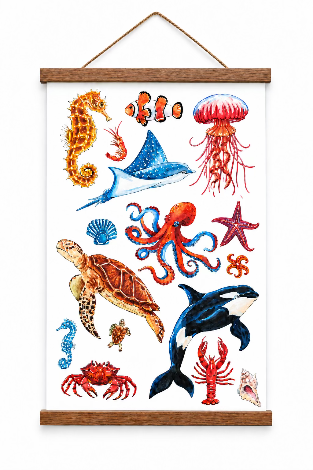 Bruno’s Ocean