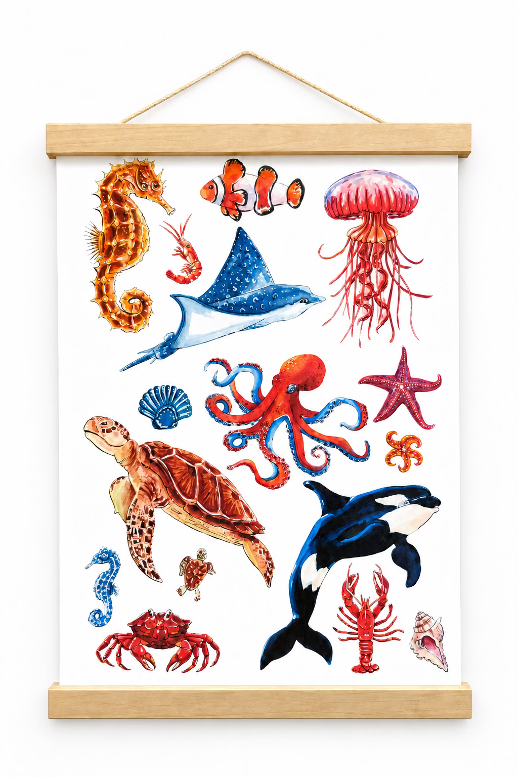 Bruno’s Ocean