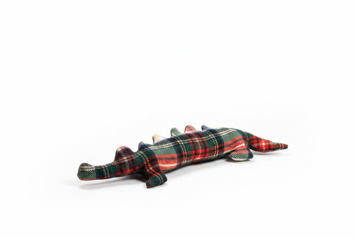 Wollo Crocodile