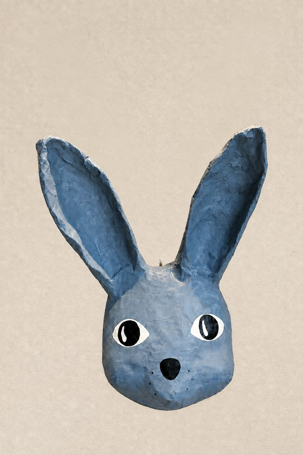 Nicó the Bunny