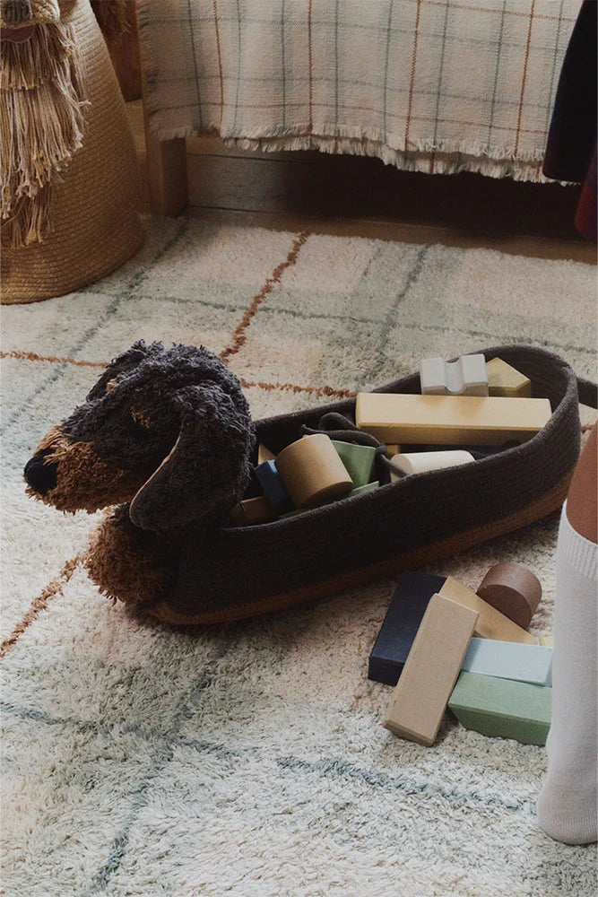 Basket Sparky