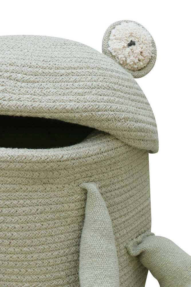 Close up picture frog 
