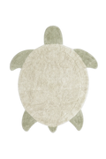 Rug turtle 