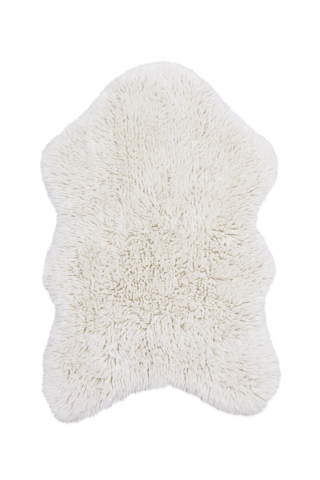 Wool sheep 
