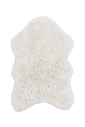 Wool sheep 