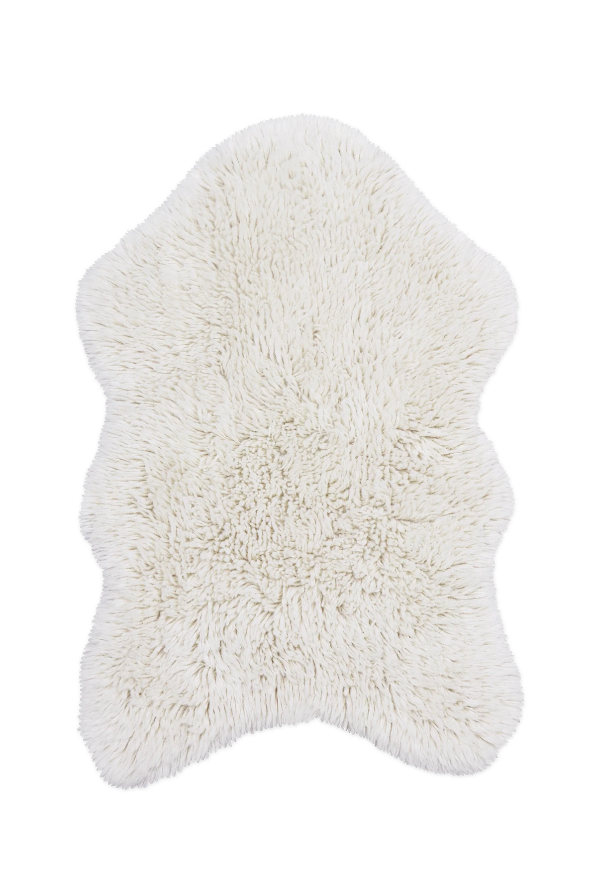 Wool sheep 