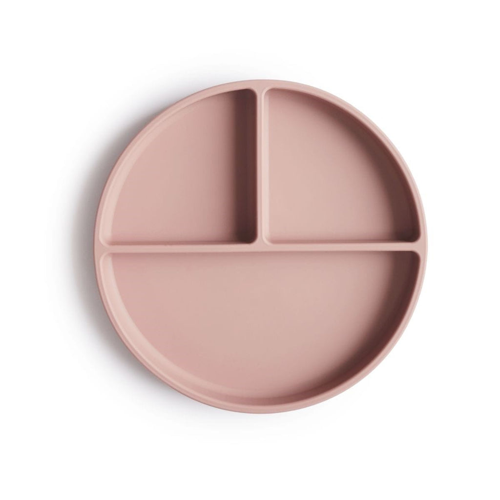 Pink divided plate on a white background