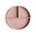 Pink divided plate on a white background